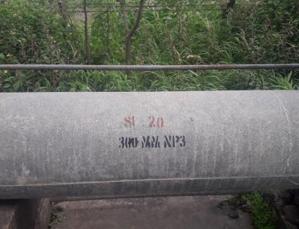 20180905_1446542.jpg